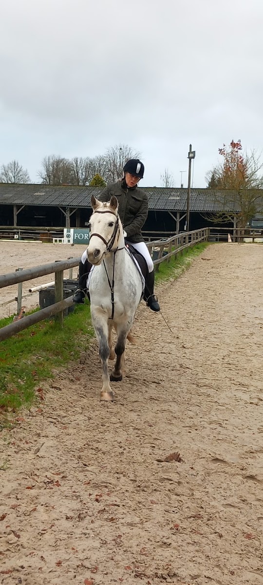 Photo de HARAS DES PERCHERS