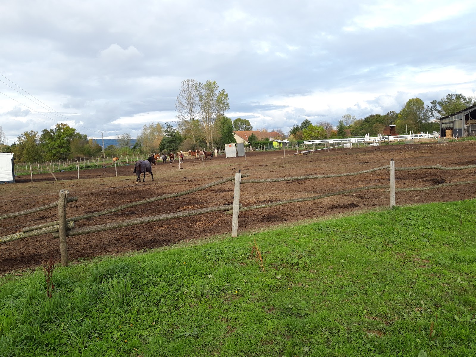 Photo de HARAS DU BRIN D AMOUR