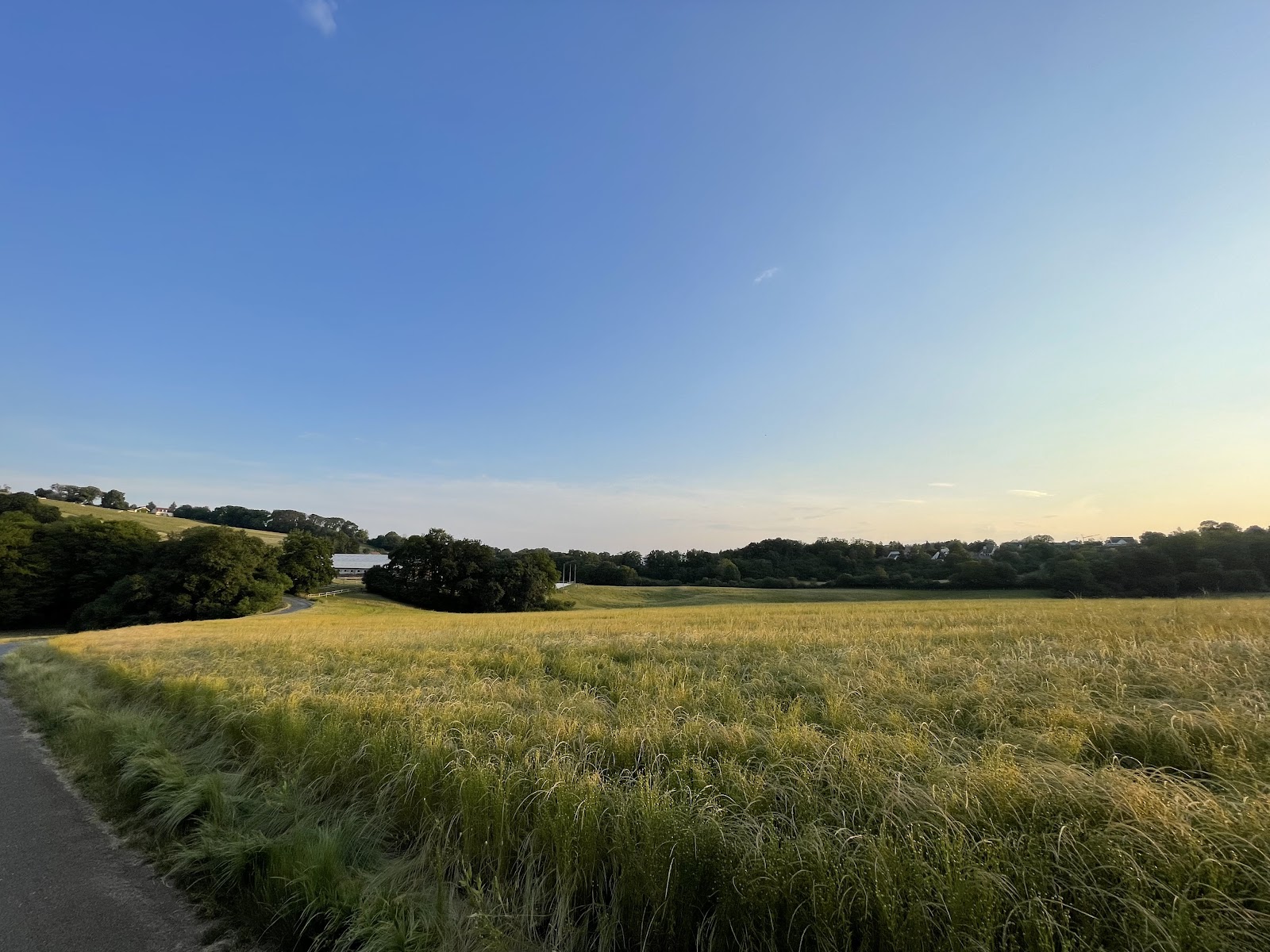 Photo de HARAS DU LEVAIN