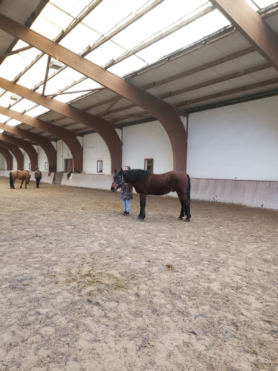 Photo de HARAS DU MOULIN