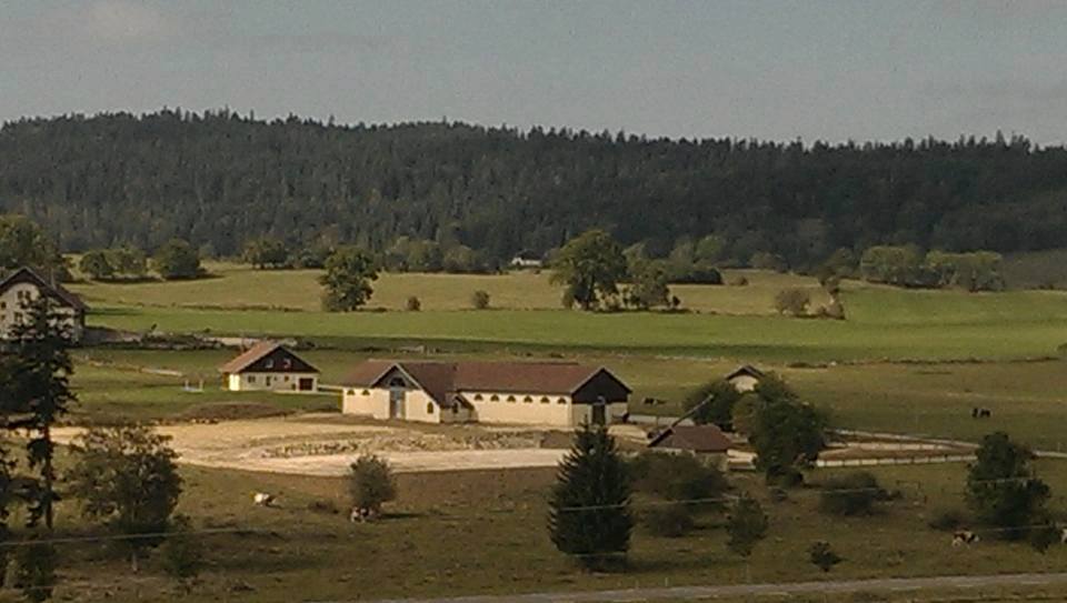 Photo de HARAS DU PETIT BOIS