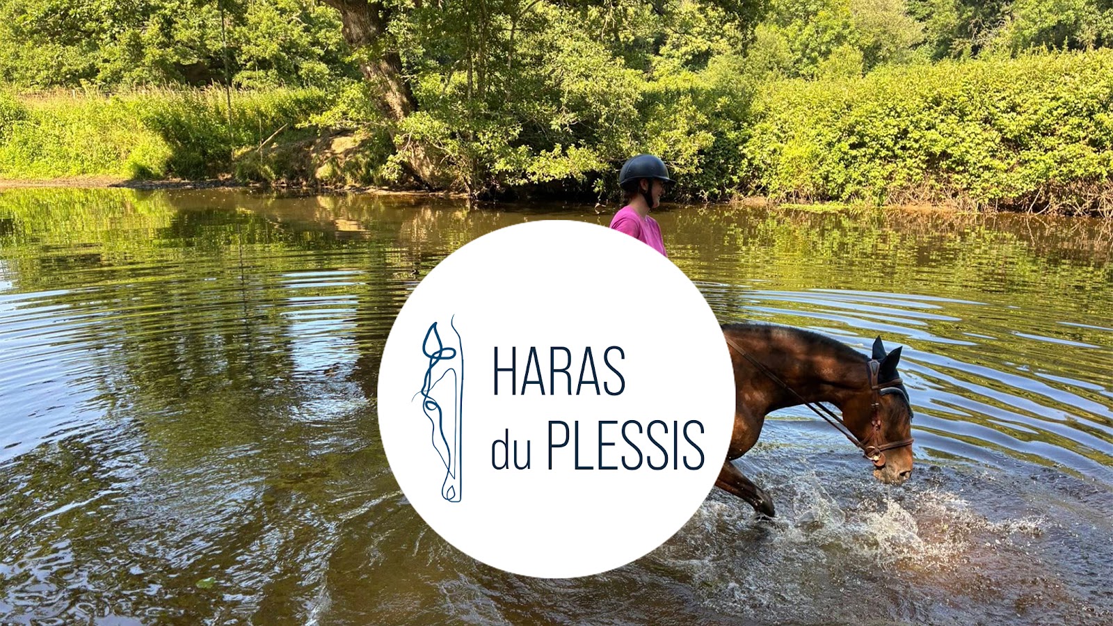 Photo de HARAS DU PLESSIS