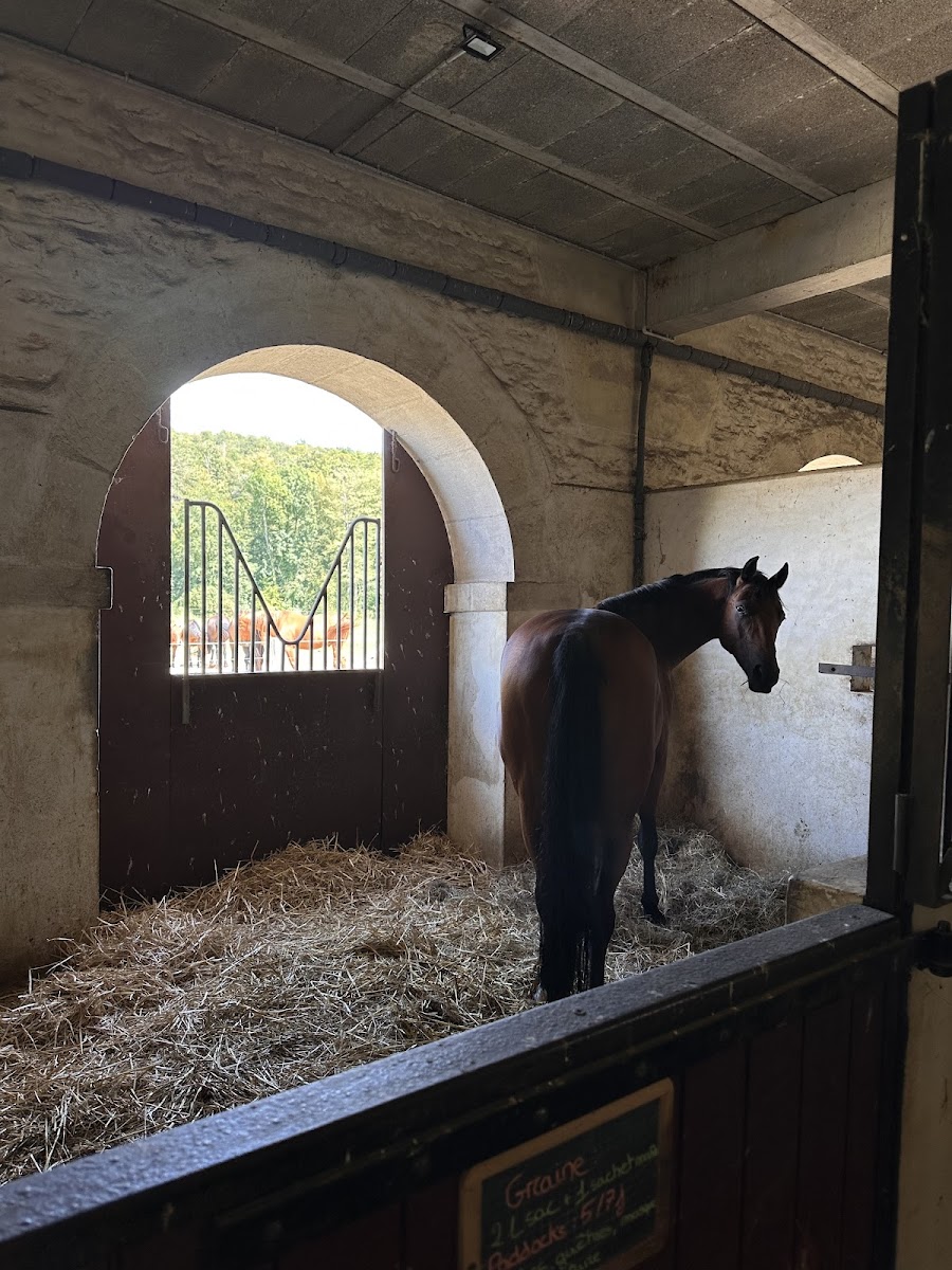 Photo de HARAS DU VAL DES ESCHOLIERS