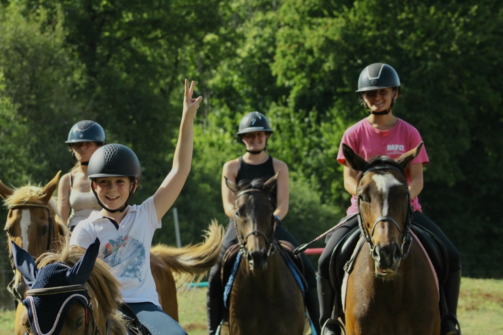 Photo de HARAS L FIEF