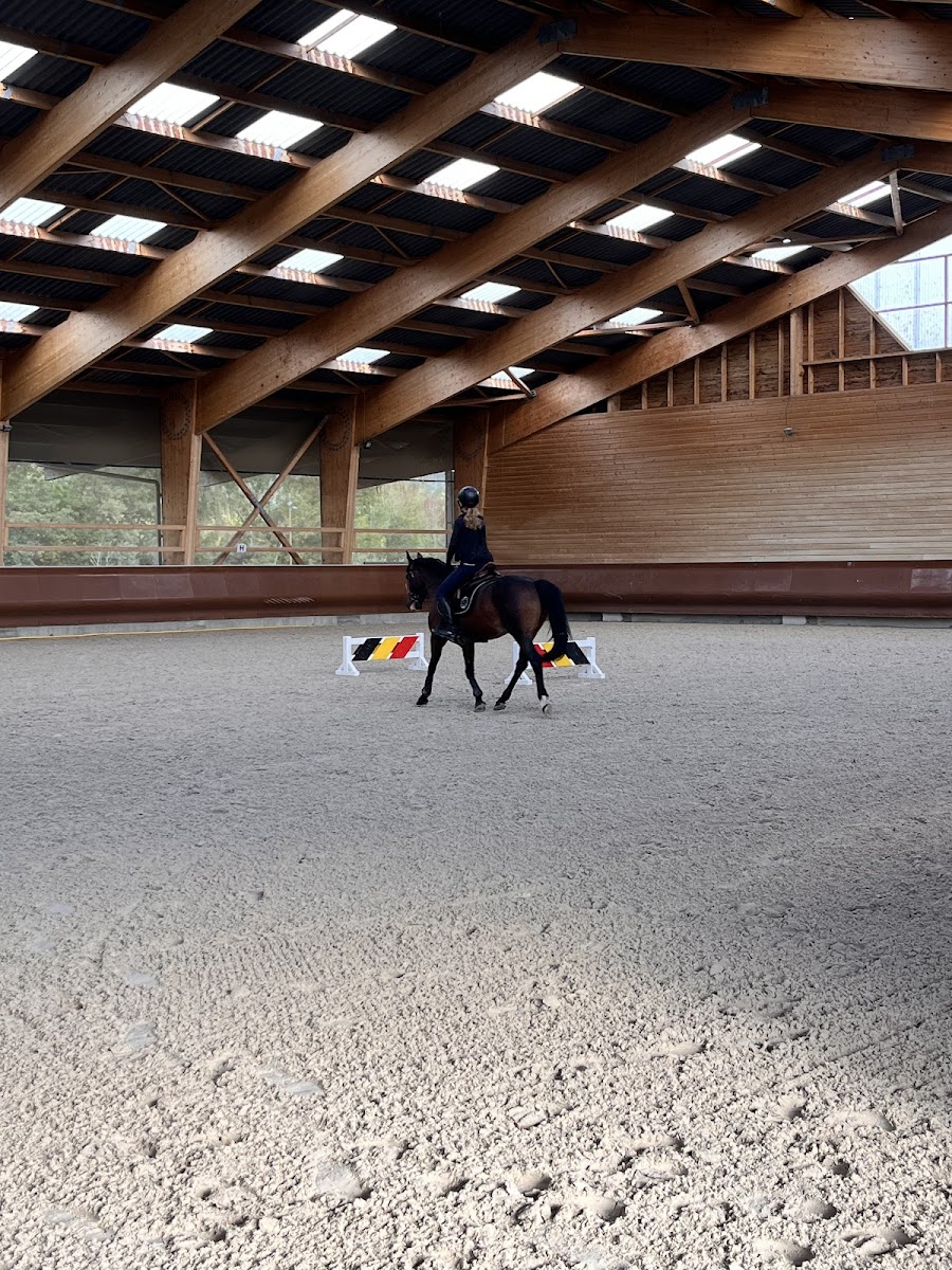 Photo de HBCM JUMPING