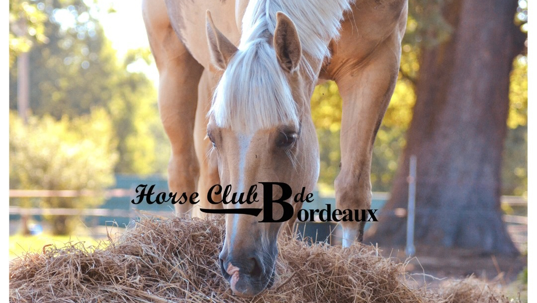 Photo de HORSE CLUB DE BORDEAUX