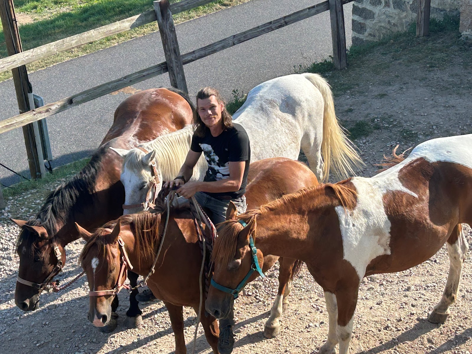 Photo de HORSE JOURNEY