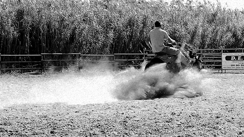 Photo de JC RANCH