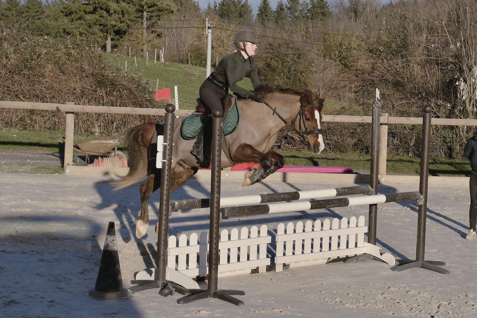 Photo de JEZABELLE EQUITATION