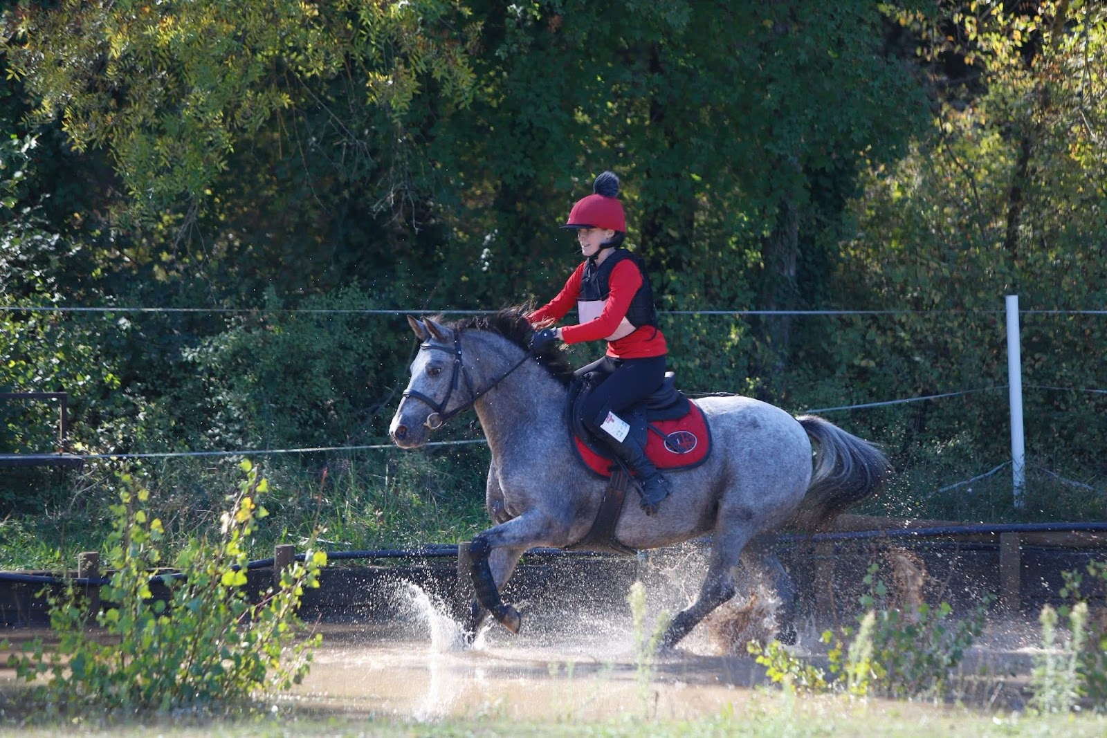 Photo de JF COACHING