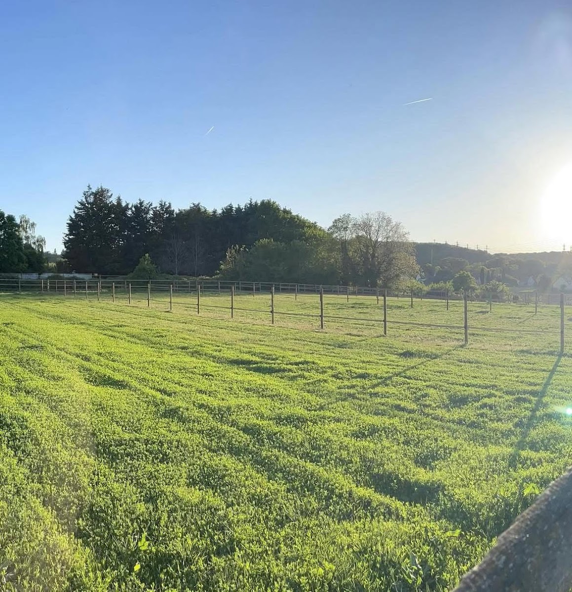 Photo de JK EQUESTRIAN ACADEMY