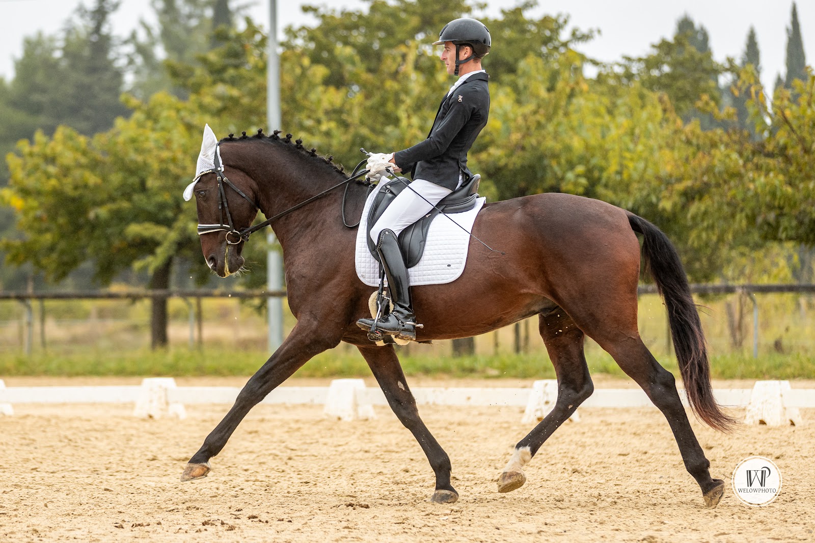 Photo de JLS HORSE SPORT