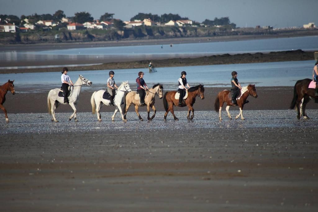 Photo de JOALLAND EQUITATION