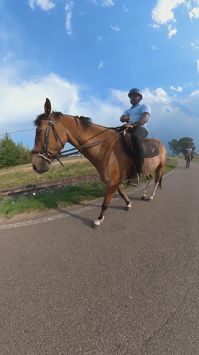 Photo de JUMPING 88 SARL