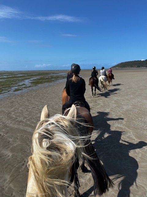 Photo de KEROPARTZ EQUITATION