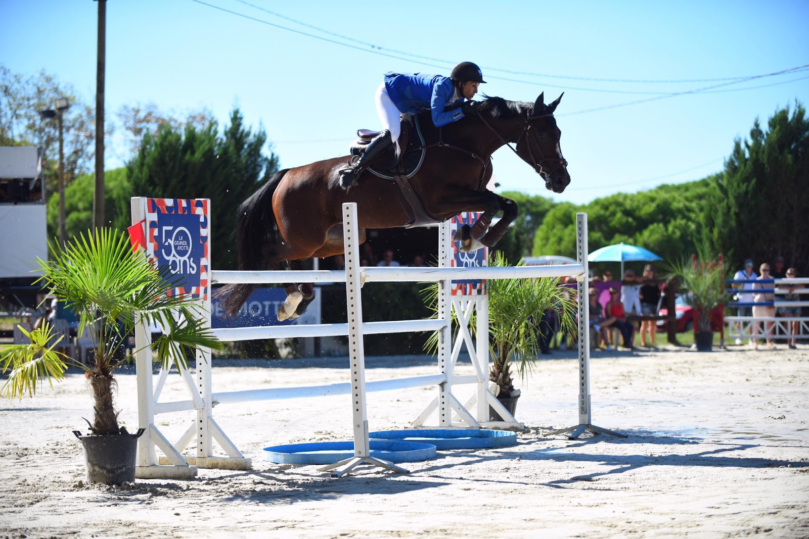 Photo de L ECURIE DU GRAND VALLAT
