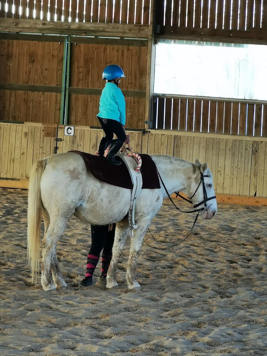 Photo de L ECURIE TERRANAISE