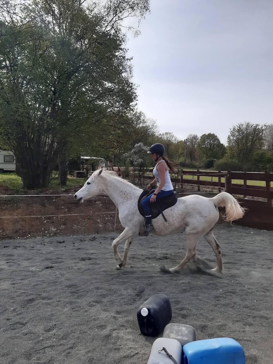 L EQUI LIBRE & CAU