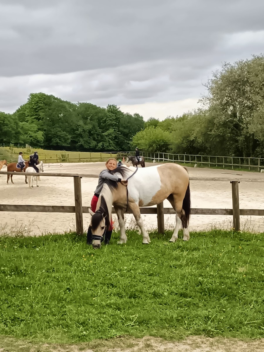 Photo de L ETRE CHEVAL