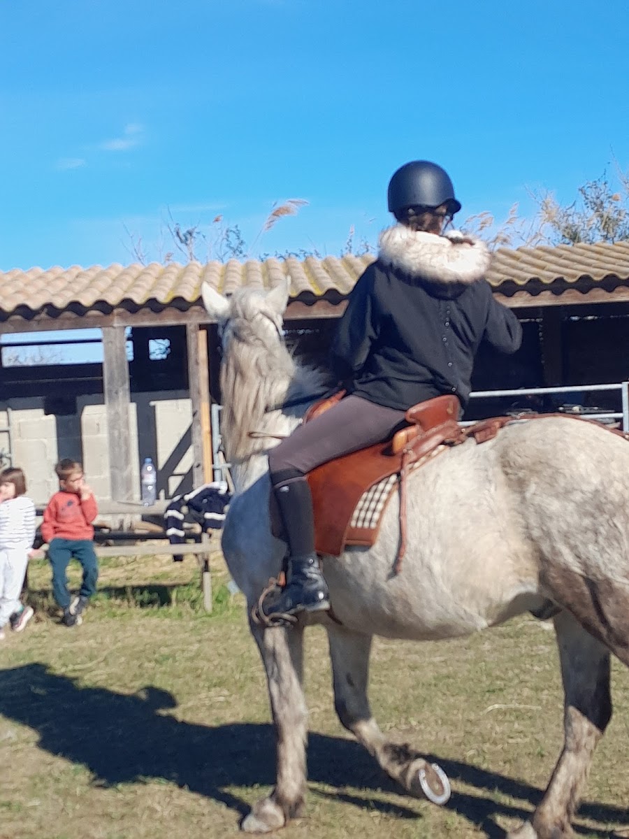 Photo de L OASIS CAMARGUAISE