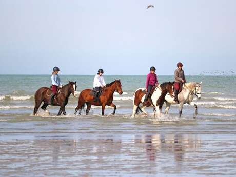 Photo de LA CAVALERIE D ANDREA