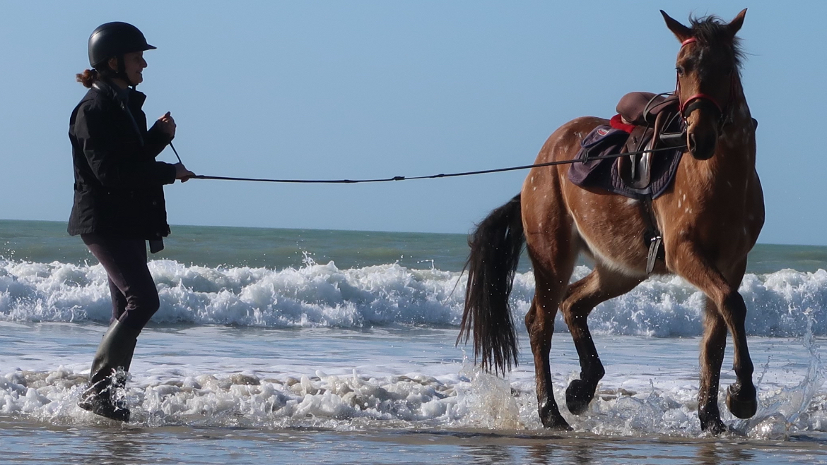 Photo de LA CAVALERIE DE MONTCHATON