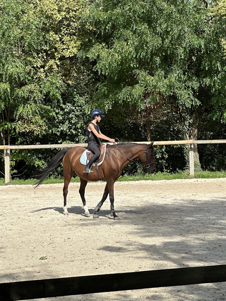 Photo de La clairière du Findez