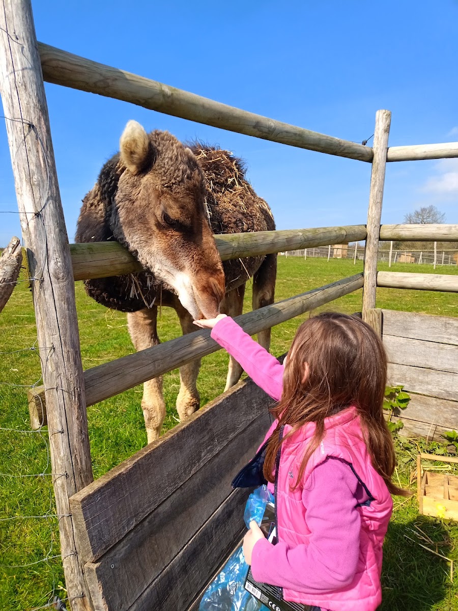 Photo de LA FERME DE MON ENFANCE