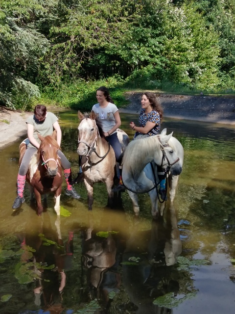 Photo de LA FERME EQUESTRE DU ROUSSET
