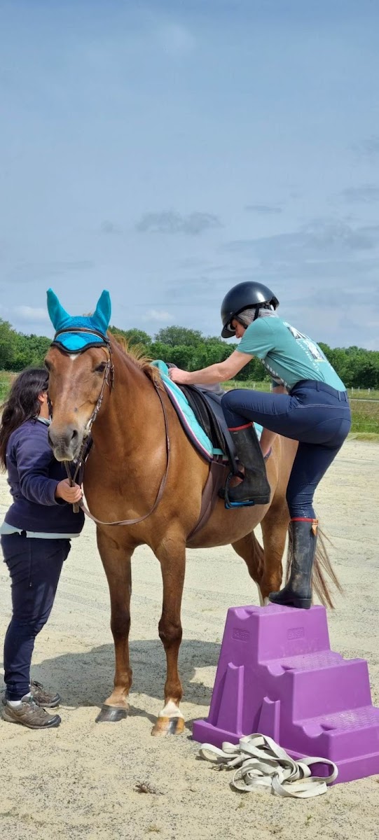 Photo de LA LICORNE VERTE 85