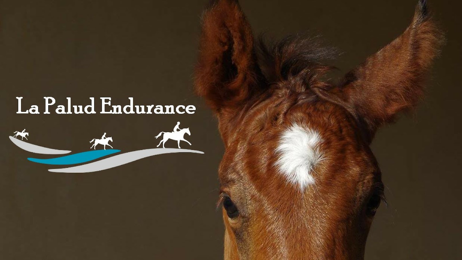 Photo de LA PALUD ENDURANCE