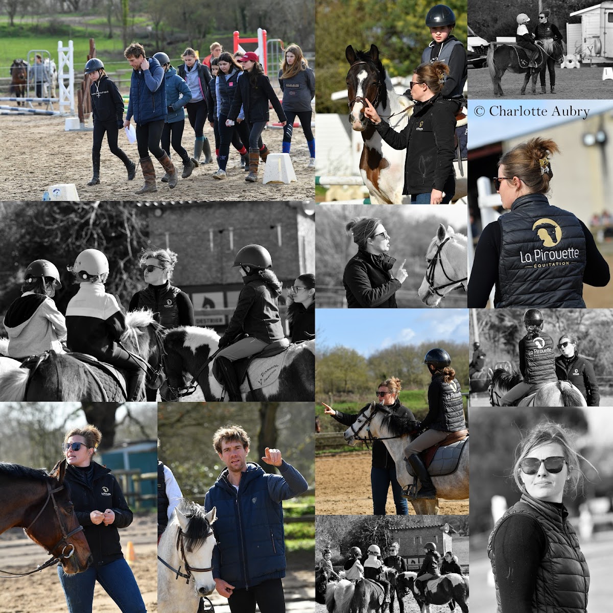 Photo de LA PIROUETTE EQUITATION
