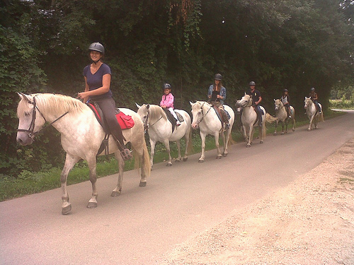Photo de LA RANDO CAMARGUAISE