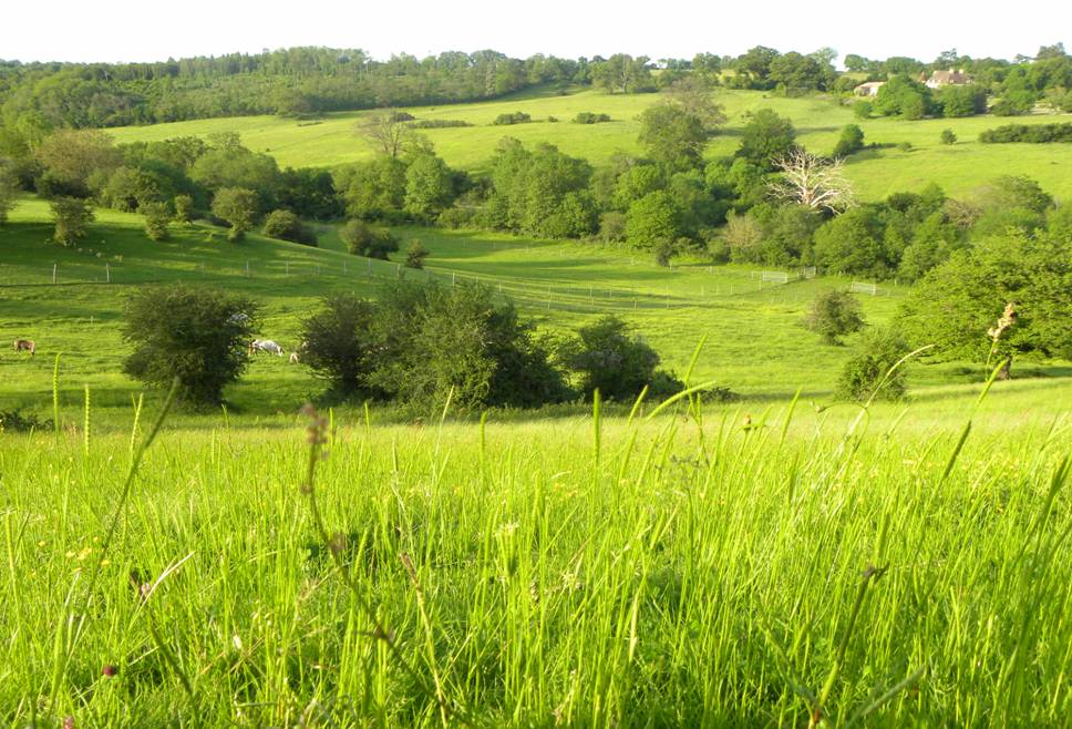 Photo de LA VALLEE DES CERFS