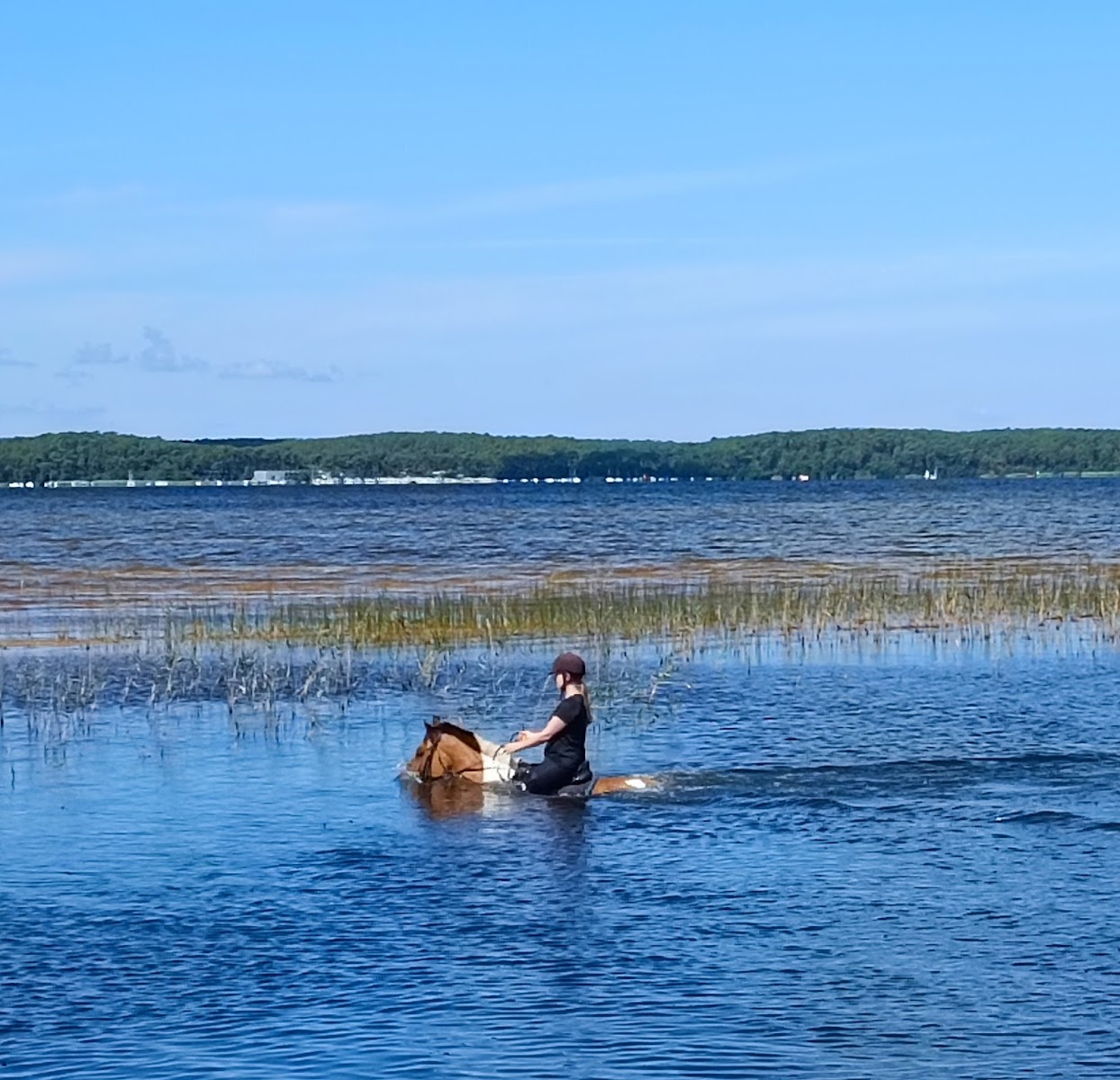 Photo de LACANAU EQUICREATION
