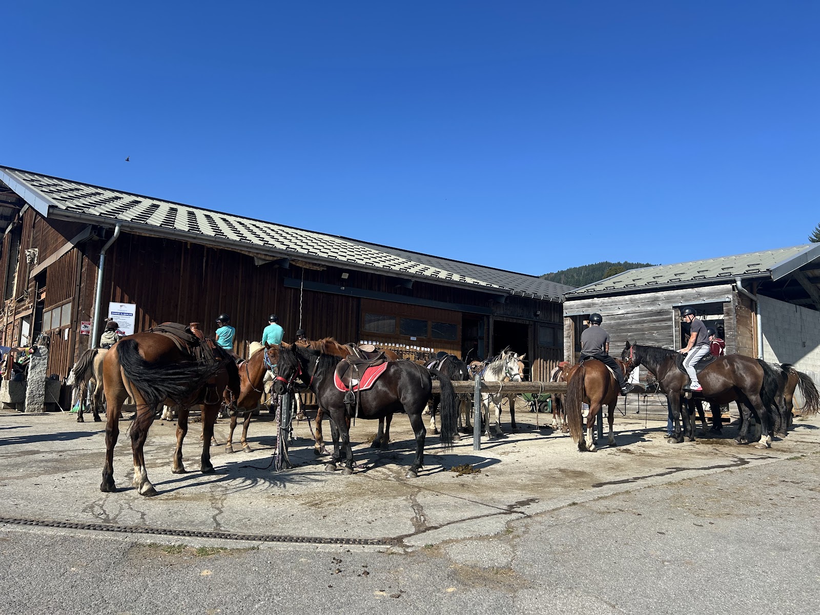 Photo de LE CHEVAL DE FEUG