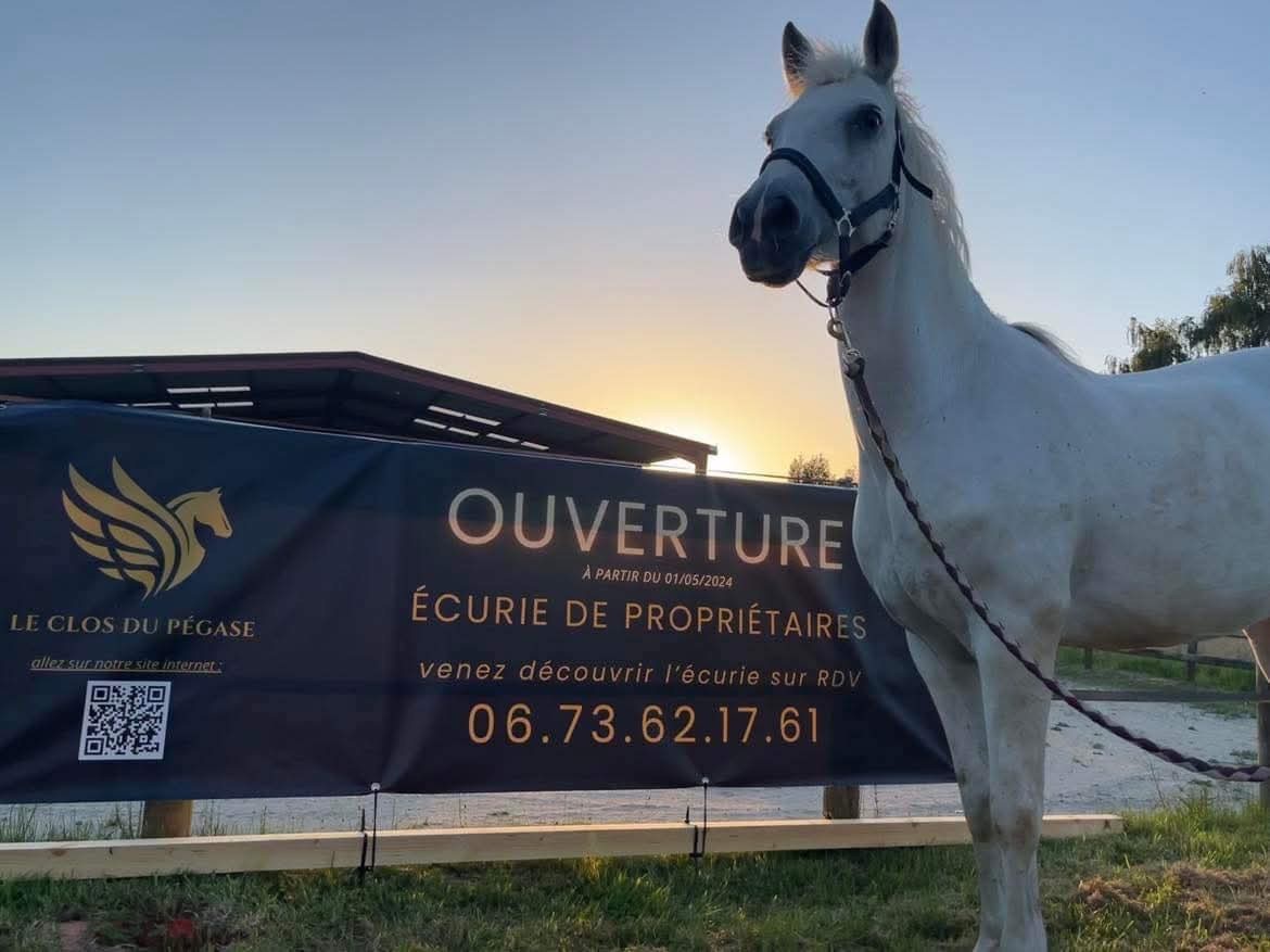 Photo de Le Clos du Pégase