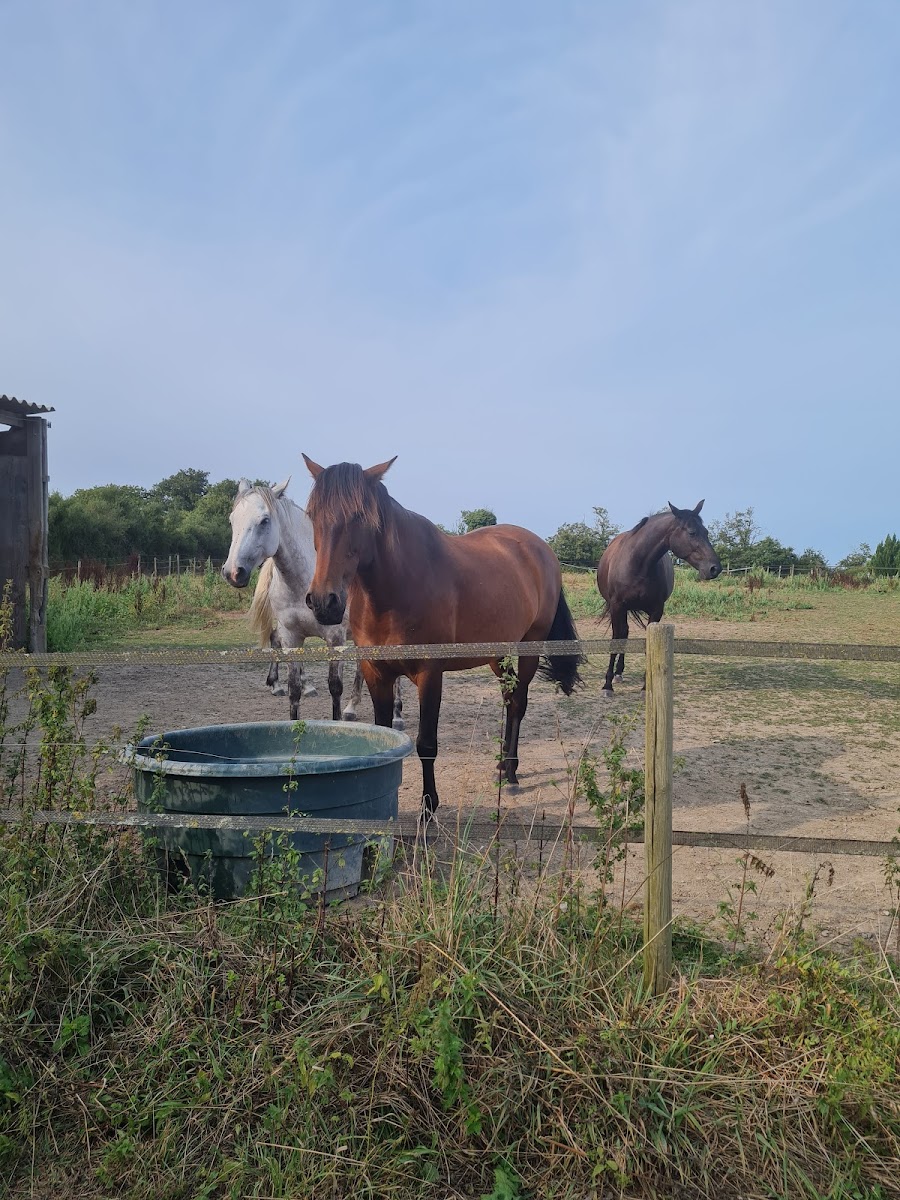 Photo de LE DOMAINE D OLISUN