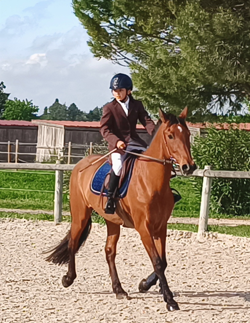 LE HARAS DE DURFORT