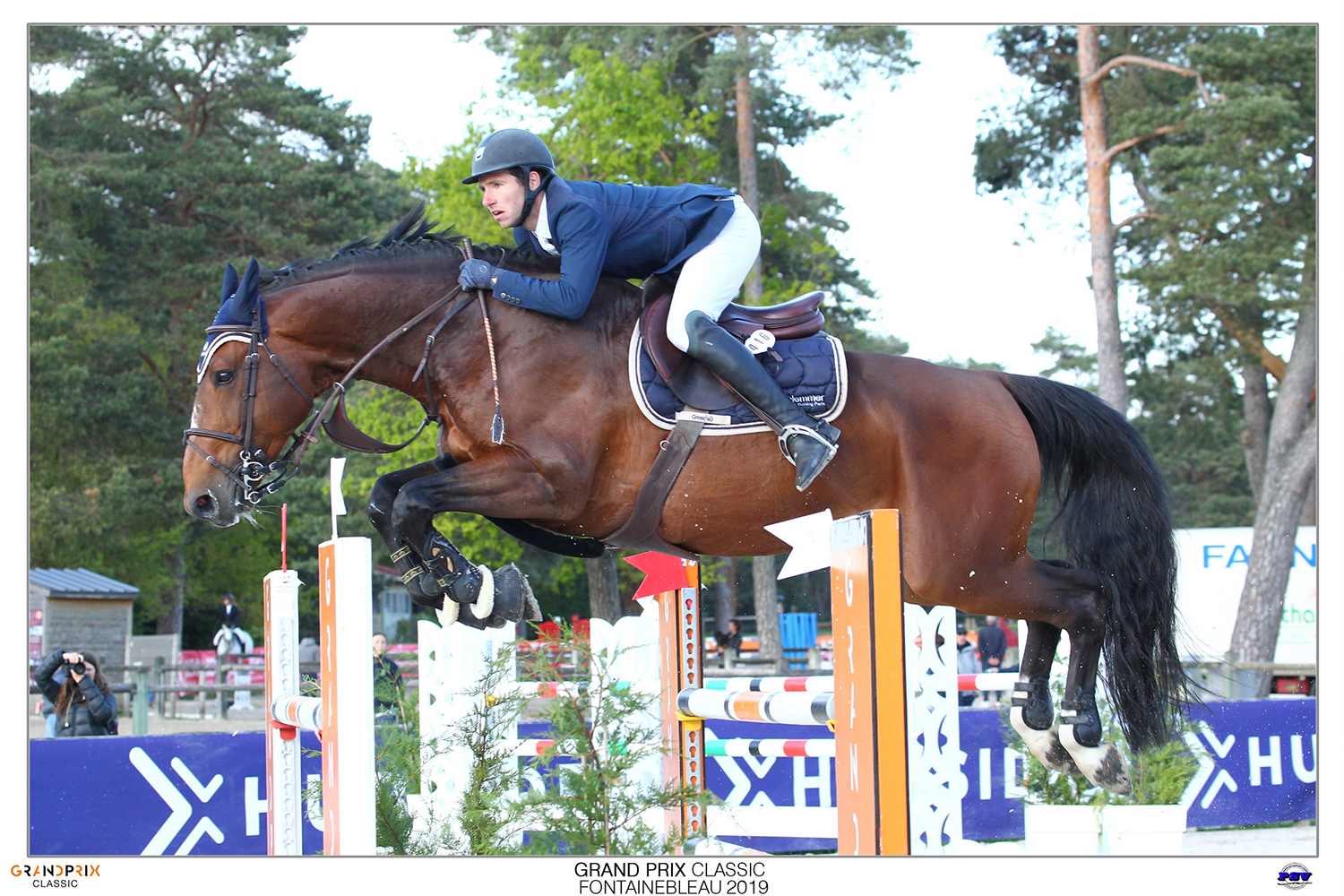 Photo de LE HARAS DE LUPPY