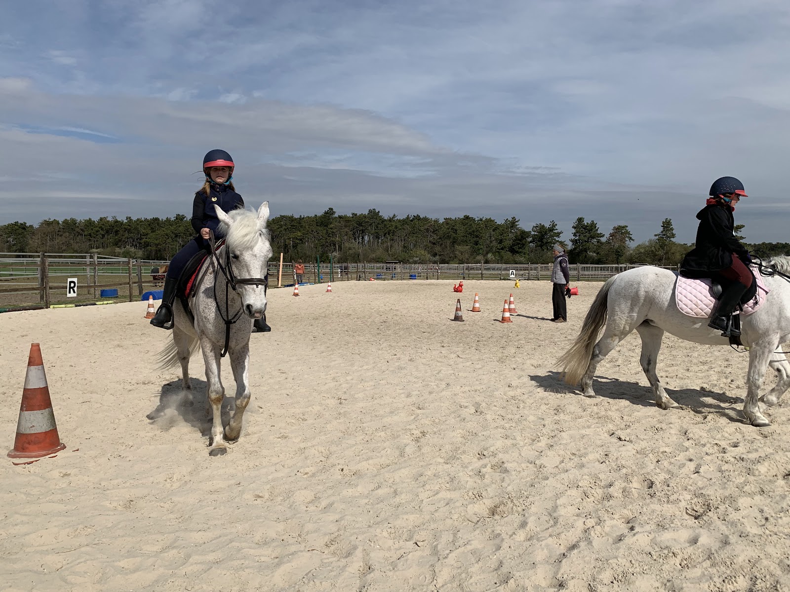 Photo de LE HARAS DE M J