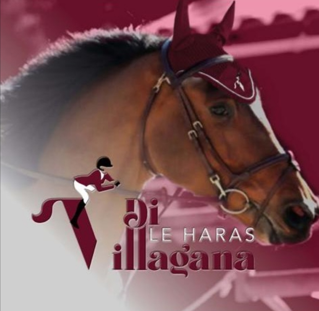 Photo de LE HARAS DIVILLAGANA