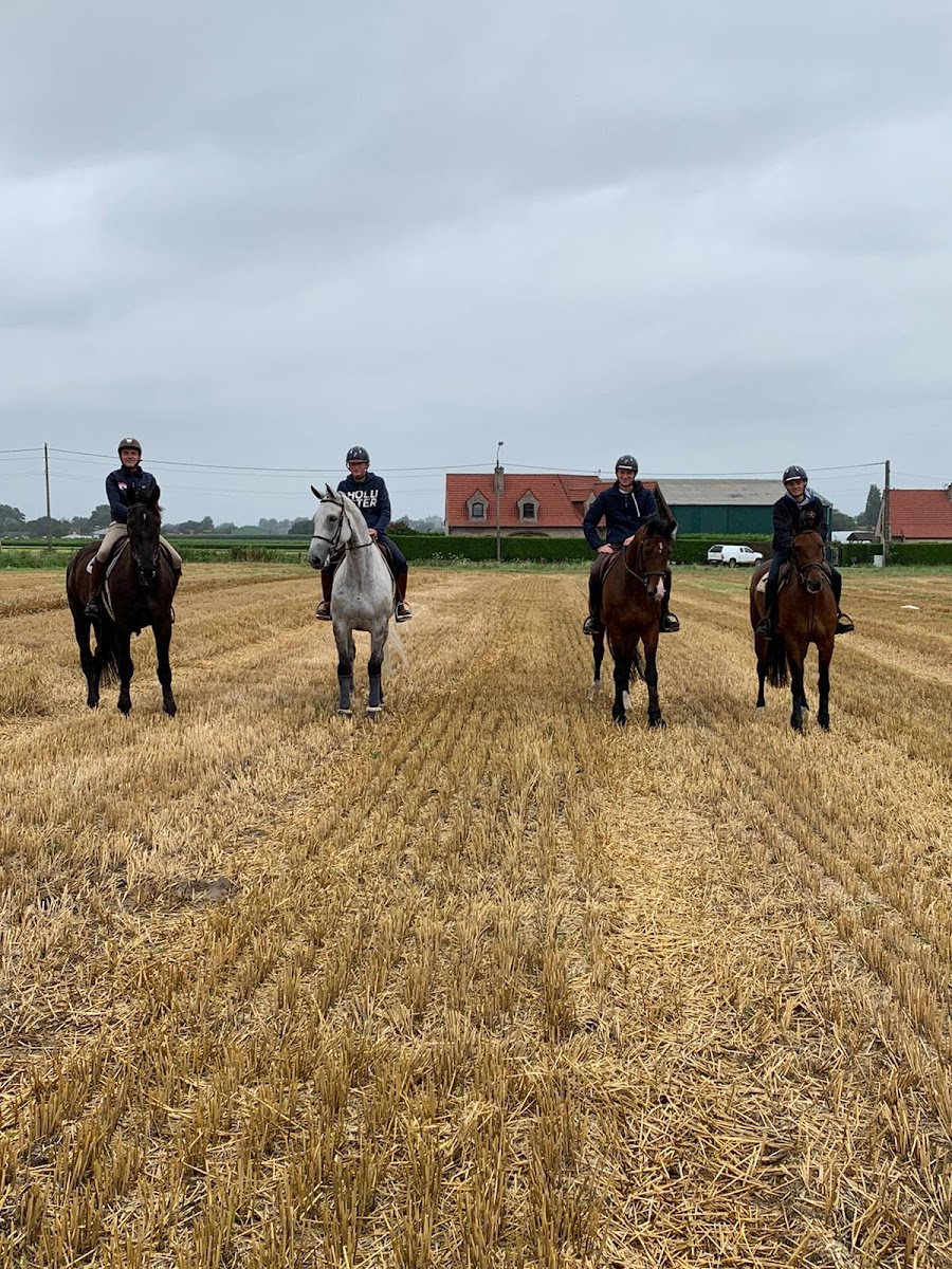 Photo de LE LOGIS DES CAVALIERS