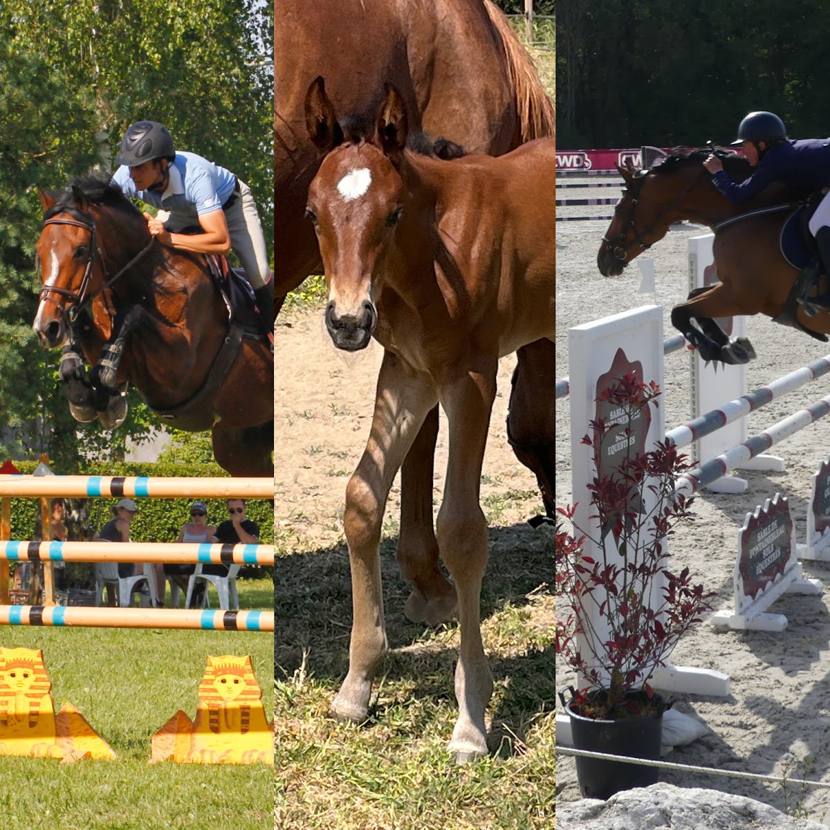 Photo de Le Pré Danseur