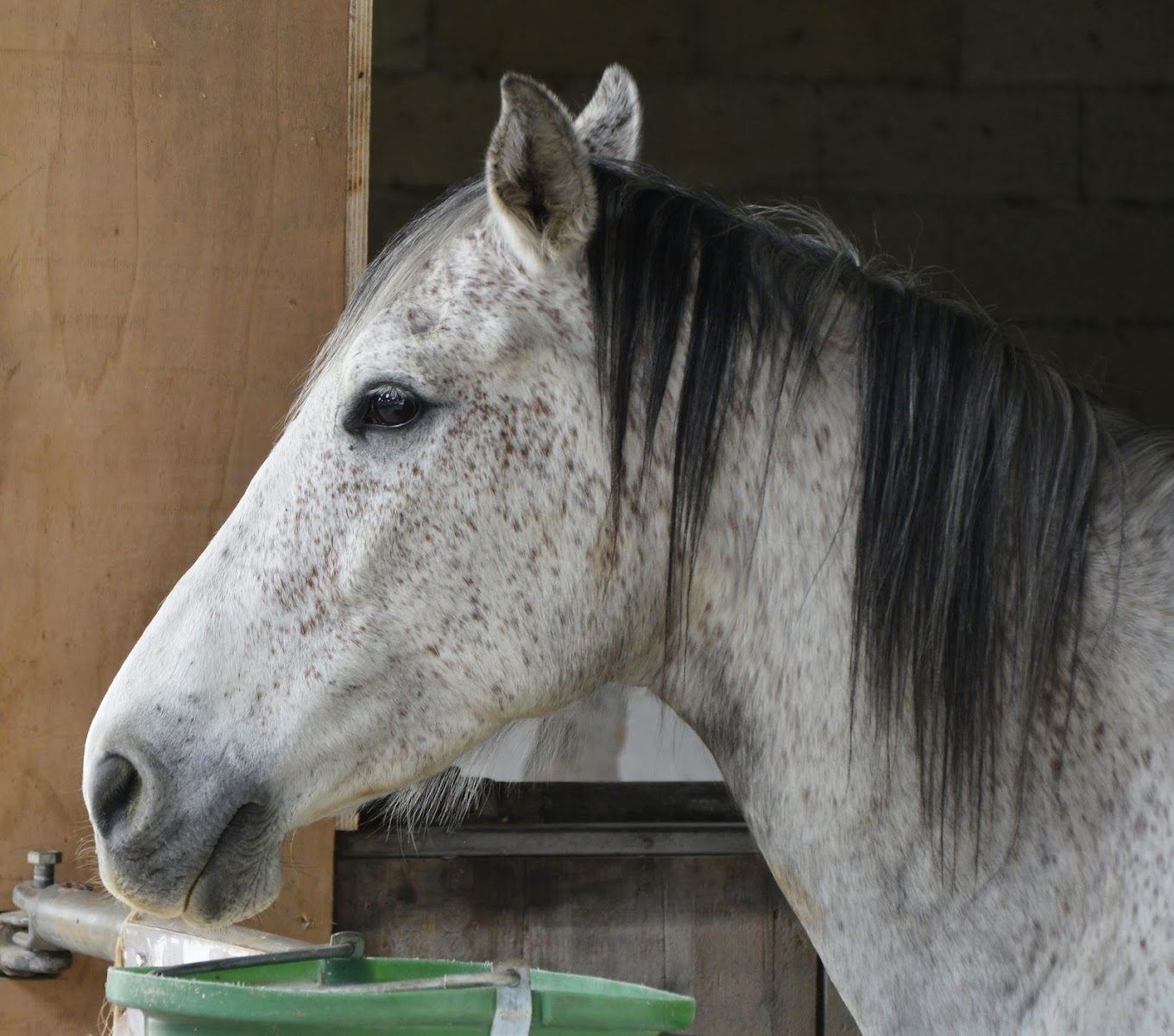 Photo de LE RANCH DU BEL AIR