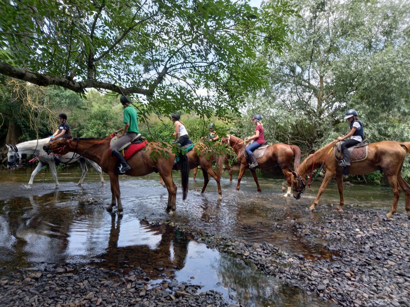 Photo de LE RANCH EXOTIQUE