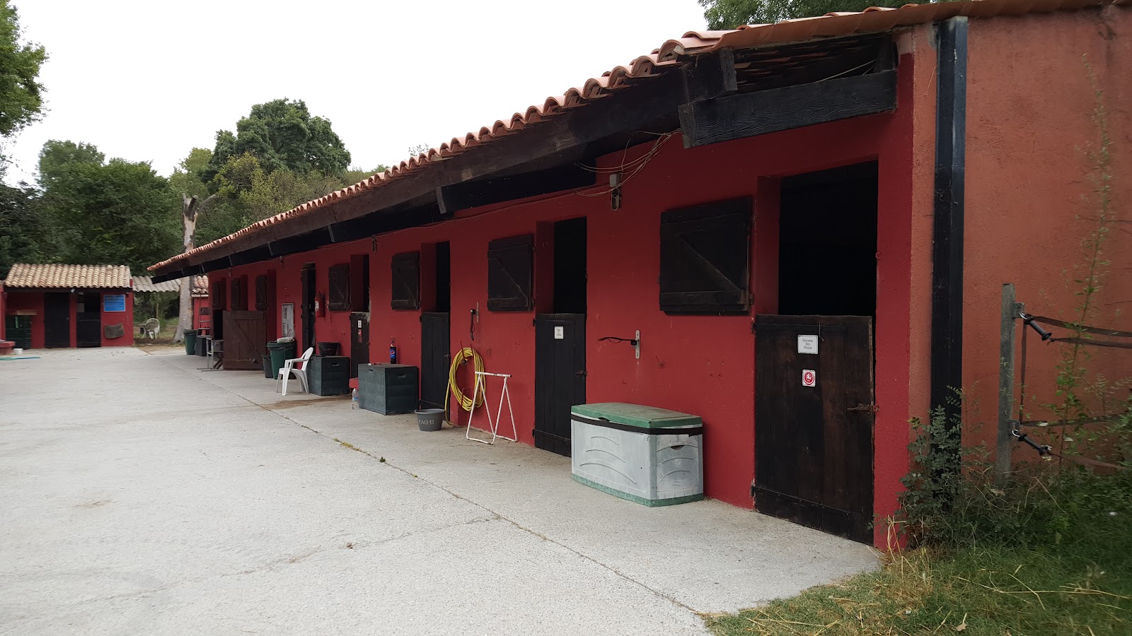 Photo de LE ROYAUME DU CHEVAL
