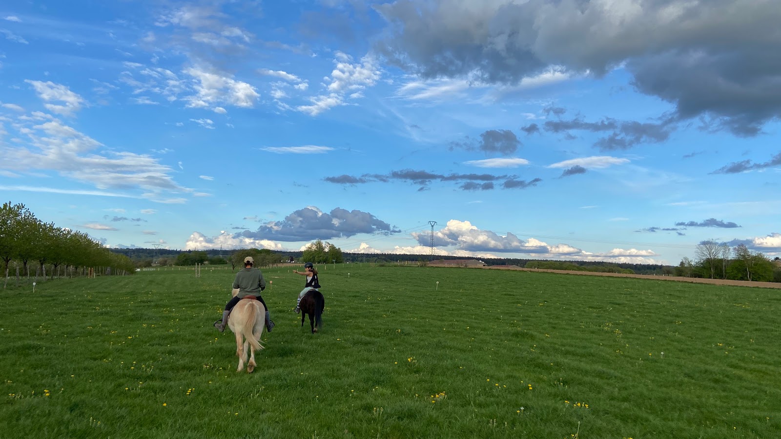 Photo de le Sarcenot à Poney