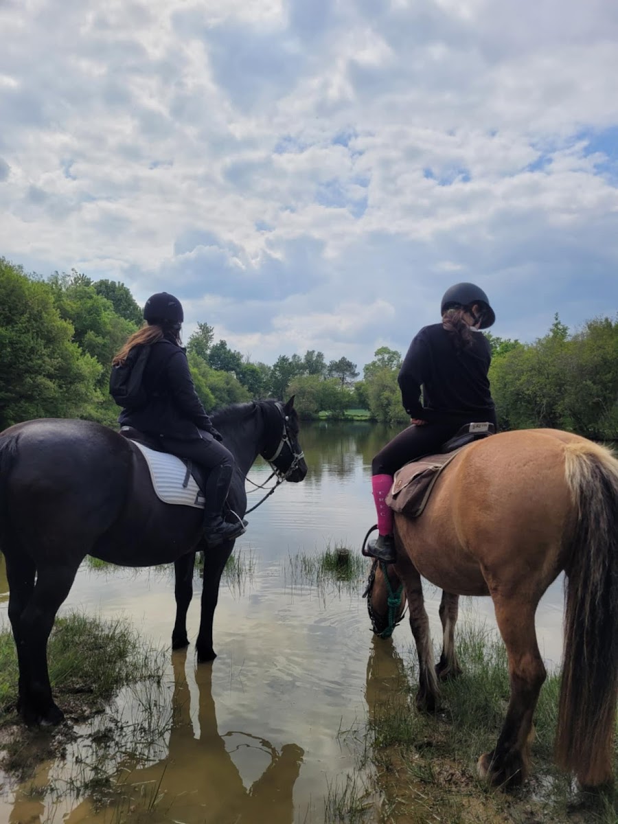 Photo de LE TY HARAS