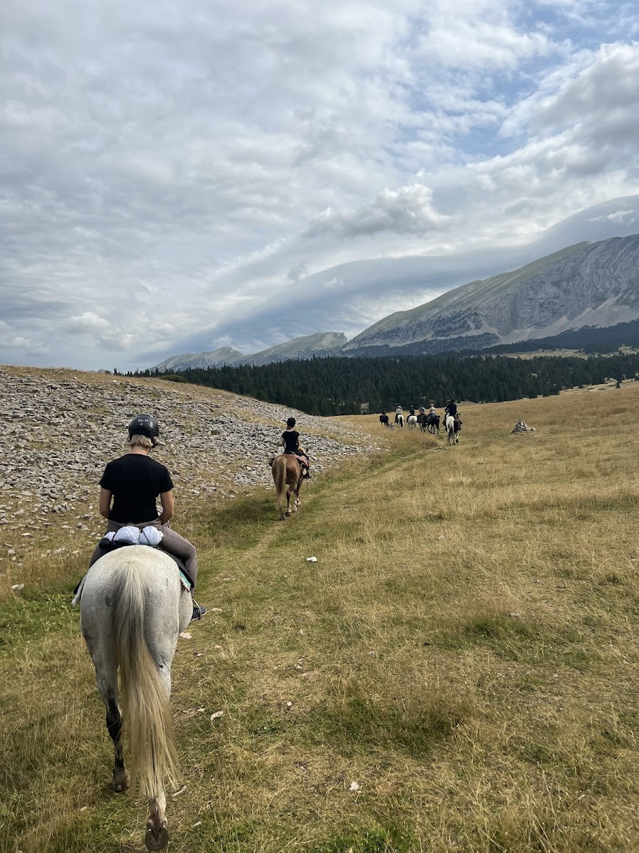 Photo de LE VERCORS A CHEVAL